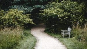 Viaje de ida y vuelta