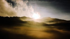 El sueño de la luz (traducciones)