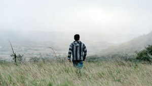Los paseos curativos outro