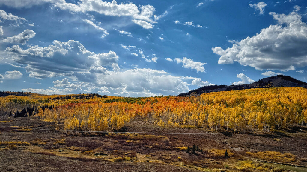 An Open Letter to Mahendra Pandey and the Global Migrant Workers Network